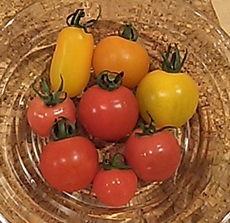 tomatos2.jpg