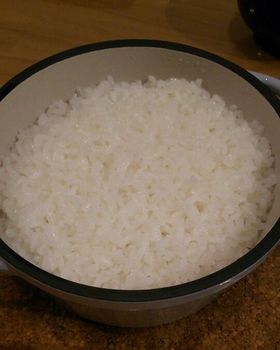 vermicular14-rice1.jpg